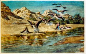 Illustration von Dinet aus 
