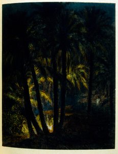 Illustration von Dinet aus 