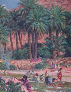Palmbäume. Die Palme wurde vom Propheten Mohammed im Koran gesegnet.