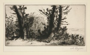 Querfeldein von Alphonse Legros