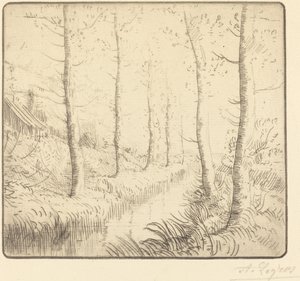 Birken am Wasser von Alphonse Legros