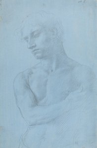 Büste eines nackten Mannes von Alphonse Legros