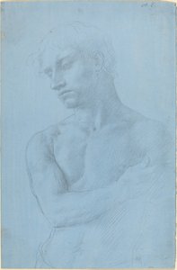 Büste eines nackten Mannes von Alphonse Legros