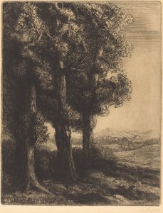 Ecke eines Waldes von Alphonse Legros