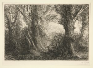 Im Wald von Conteville von Alphonse Legros