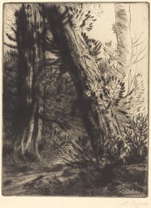 Am Rande eines Baches von Alphonse Legros