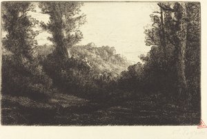 Waldrand