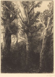 Deutscher Wald, Downley von Alphonse Legros