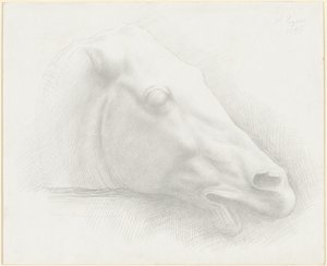 Kopf eines Pferdes vom Parthenon von Alphonse Legros