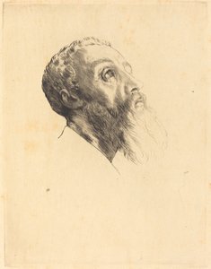 Kopf eines Modells (Tête de modèle)