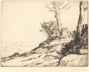 Hügel mit Büschen (La butte aux brousailles)