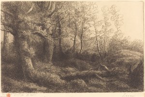 Im Wald von Alphonse Legros