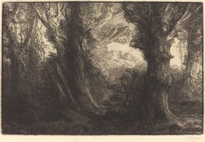 Im Wald von Conteville (Dans la forêt de Conteville) von Alphonse Legros