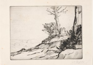 Der Buschhügel von Alphonse Legros