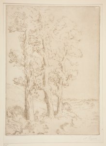 La liseuse: La lecture sous les arbres (Lesende Frau: Lektion unter den Bäumen)