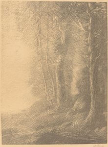Landschaft