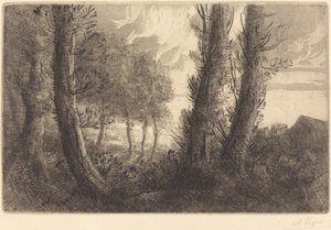 Landschaft