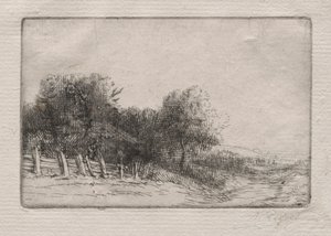 Landschaft