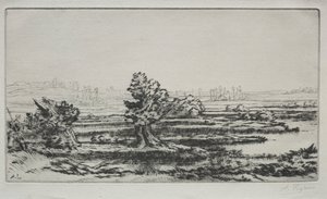 Landschaft
