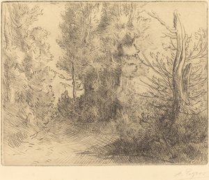 Landschaft: In der Nähe von Chailleux