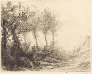 Landschaft Paysage