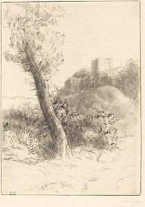 Landschaft
