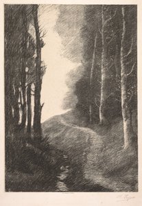 Landschaft bei Bouleaux