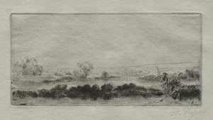 Landschaft mit Torfmoor: Im Sumpf