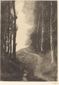 Landschaft mit Birken