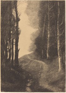 Landschaft mit Birken