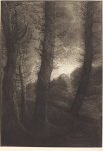Große Bäume gegen die Sonne von Alphonse Legros