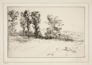 Le pré ensoleillé (Wiese im Sonnenschein)