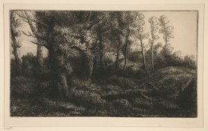 Waldrand von Alphonse Legros