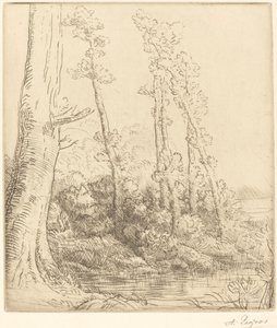 Kleiner Teich (La petite mare) von Alphonse Legros