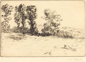 Wiese im Sonnenschein Le pré ensoleillé von Alphonse Legros