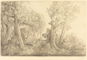 Nahe dem Wald, Veronne