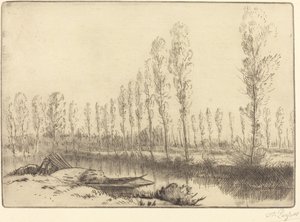 Pappeln bei Amiens von Alphonse Legros