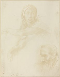 Studie der delphischen Sibylle, Kopf eines Mannes von Alphonse Legros