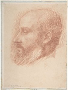 Studie eines Männerkopfes von Alphonse Legros