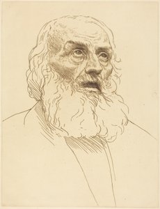 Studie eines alten Mannes von Alphonse Legros