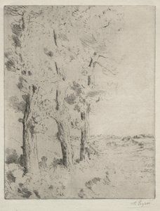 Der Leser: Die Vorlesung unter den Bäumen, um 1882 von Alphonse Legros