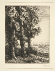 Die drei Bäume von Alphonse Legros