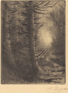 Wälder im Wintersonne, 1. Platte von Alphonse Legros