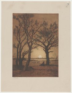 Landschaft mit Schafen bei Sonnenuntergang