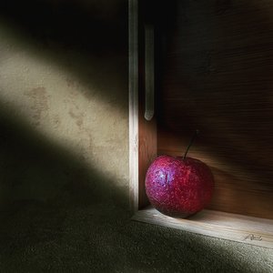 Roter Apfel im Schatten von Amal Ahmed
