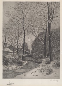 Mondscheinspaziergang im Winter