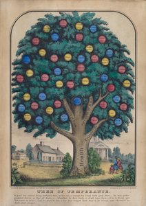 Baum der Mäßigkeit