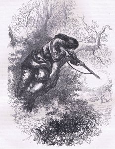 Amerikanischer Scharfschütze auf einem Baum, Illustration aus Cassells Geschichte der Vereinigten Staaten, veröffentlicht von Cassell, Petter & Galpin, ca. 1900