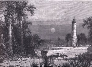 Ansicht der Küste von Florida, Illustration aus Cassells Geschichte der Vereinigten Staaten, veröffentlicht von Cassell, Petter & Galpin, ca. 1900 (Lithografie)