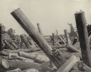 Ein Holzstau im St. Croix River, Wisconsin von American Photographer (after)